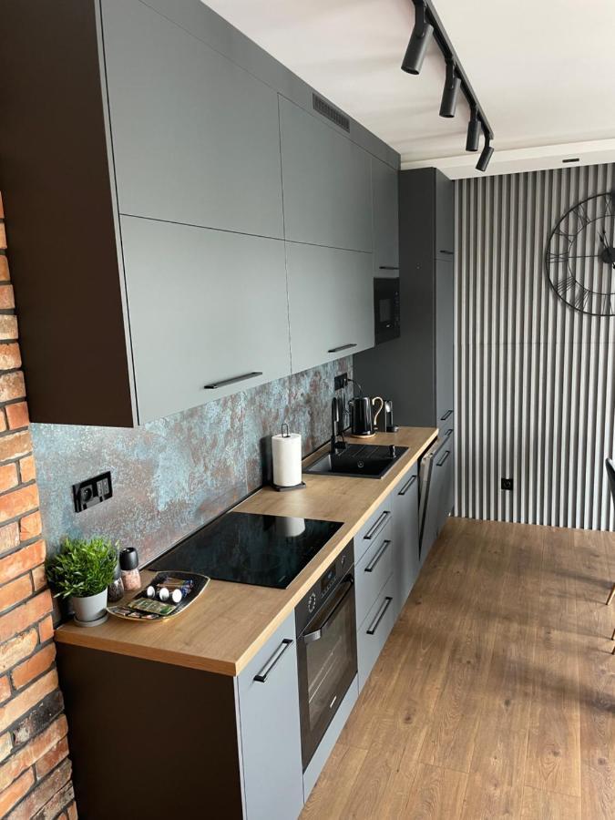 Apartament Grey Love W Czeladzi, Fv, 8Km Do Katowic Exterior photo